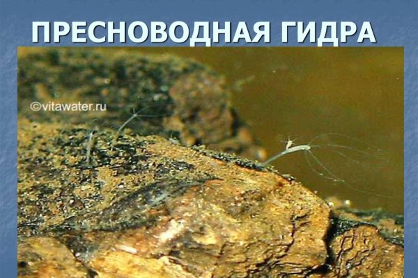 Кракен тор