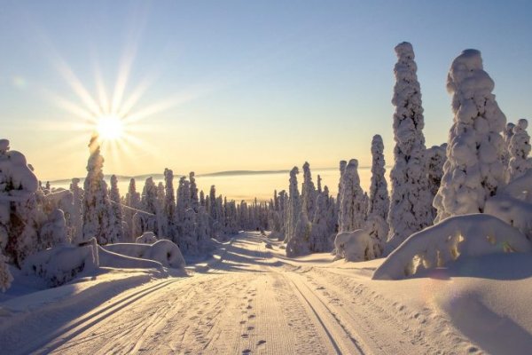 Кракен даркшоп