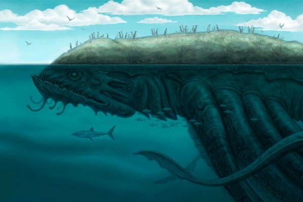 Kraken 17 at net