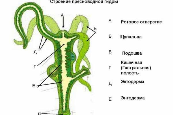 Как зайти на кракен через айфон